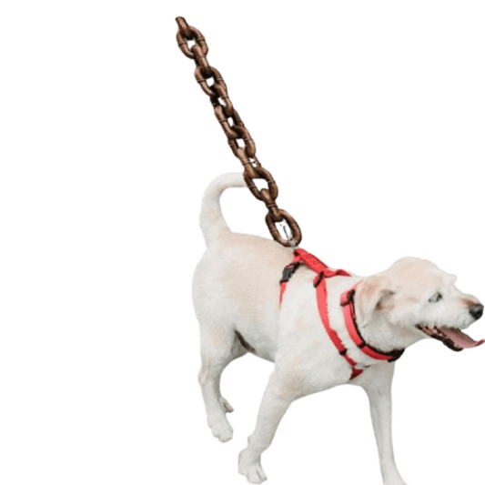 Dog Thick Plastic Traction Rope Leash