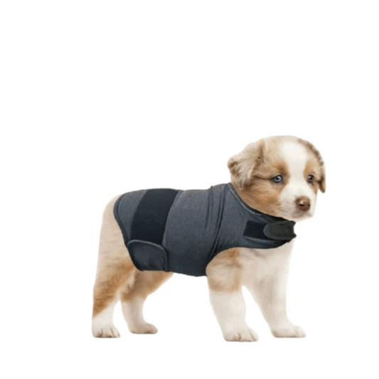 Classic Breathable Dog Vest