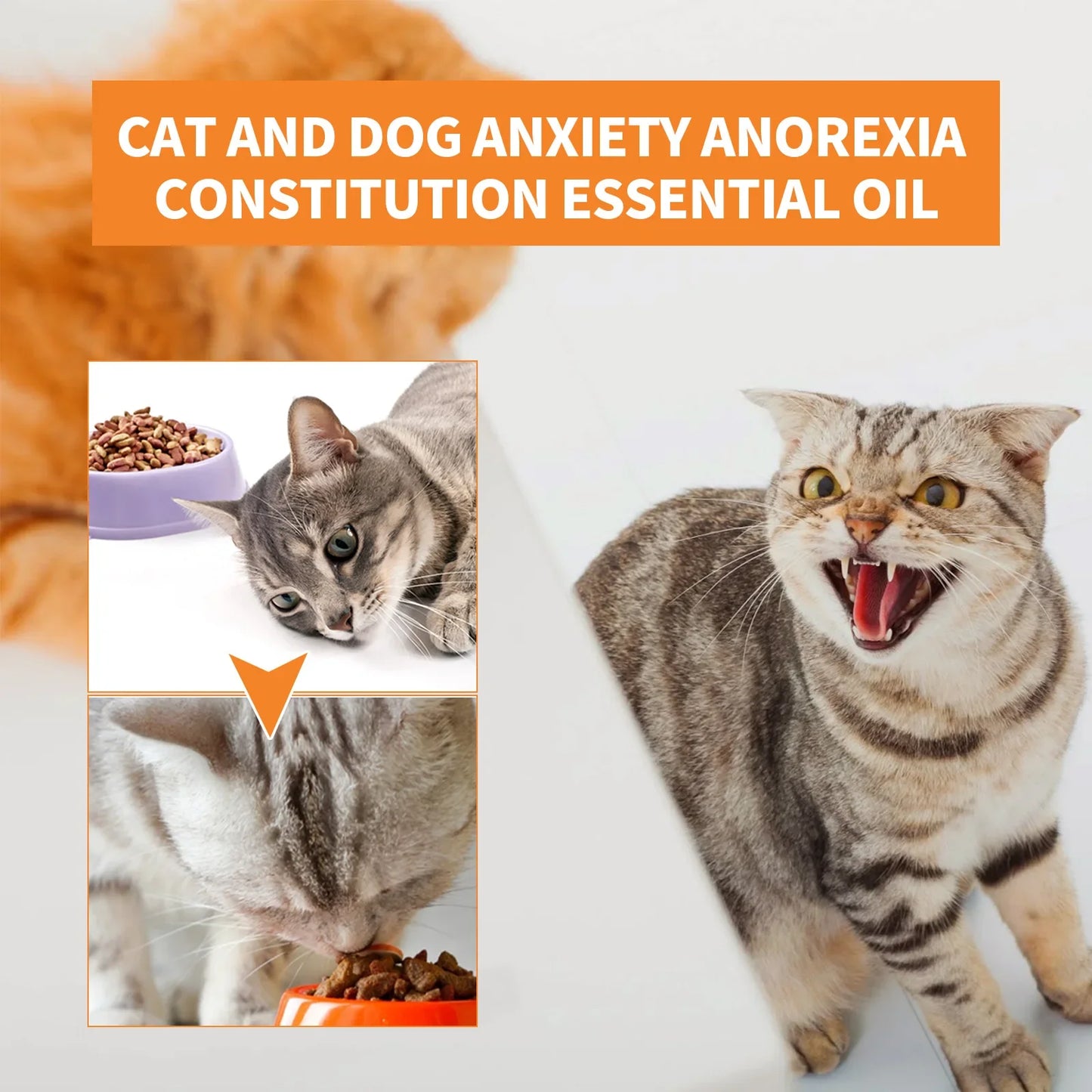 Stress Anxiety Enhance oil