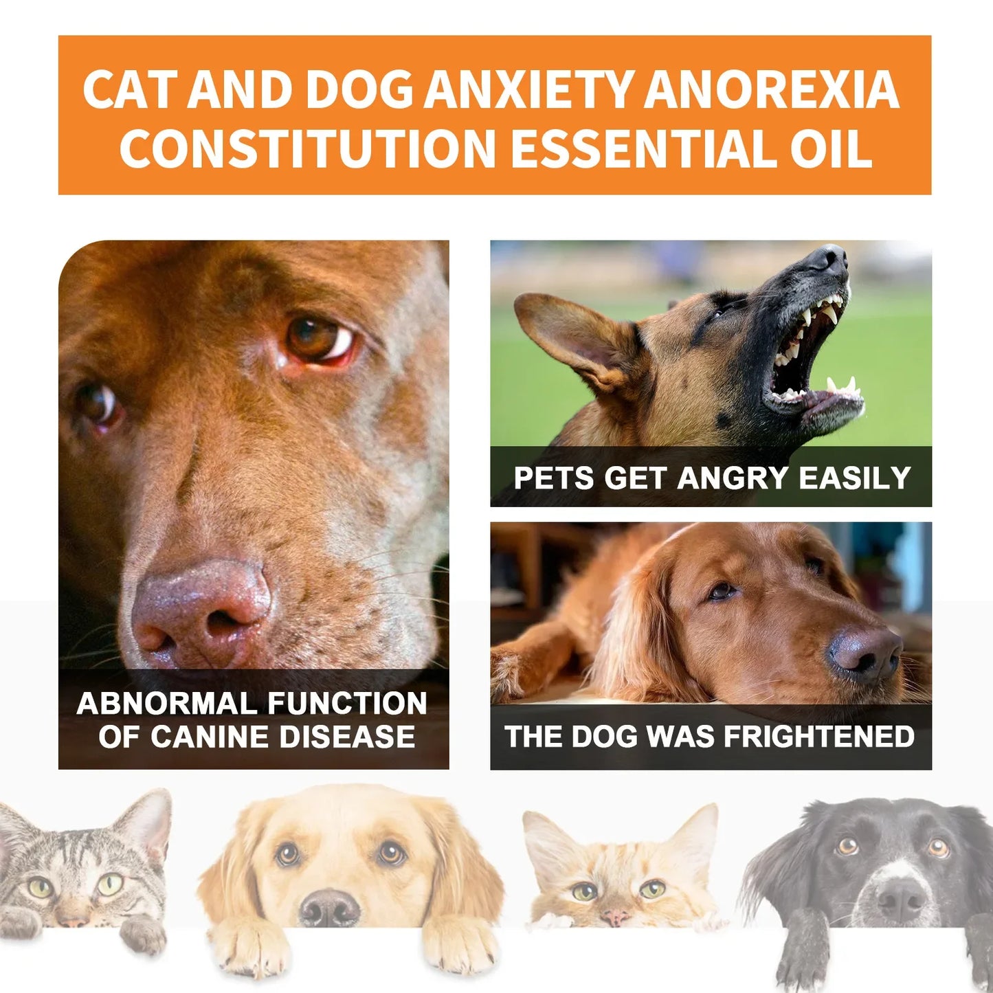 Stress Anxiety Enhance oil