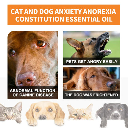 Stress Anxiety Enhance oil