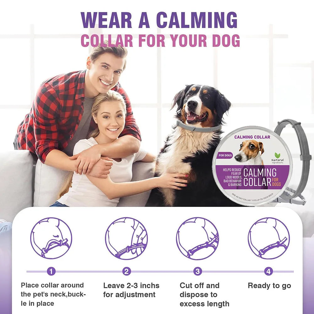Adjustable Collar for Dogs