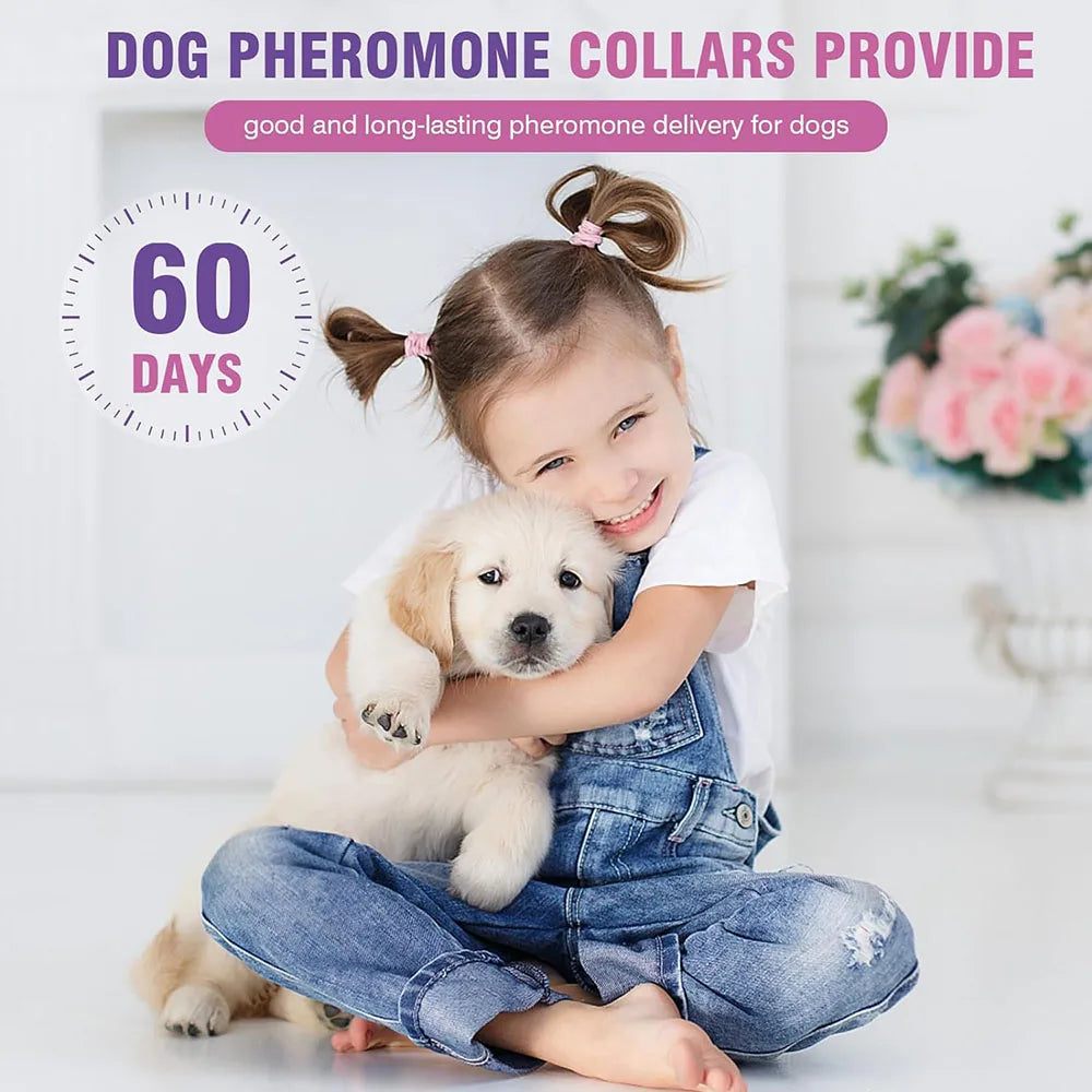 Adjustable Collar for Dogs