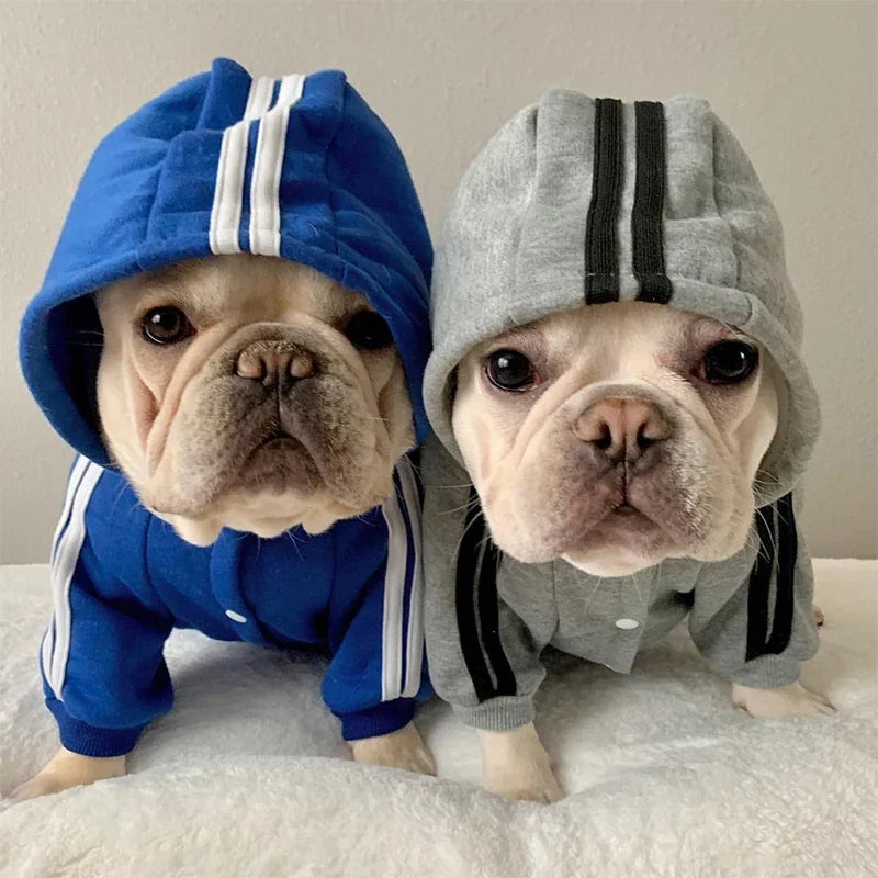 Warm Dog Jumpsuit