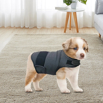 Classic Breathable Dog Vest