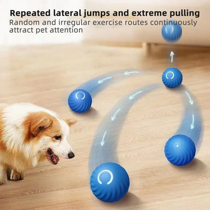 Pet Smart Jumping Rolling Ball