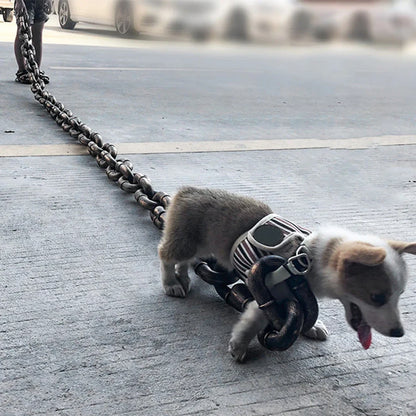 Dog Thick Plastic Traction Rope Leash