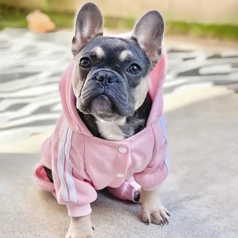 Warm Dog Jumpsuit