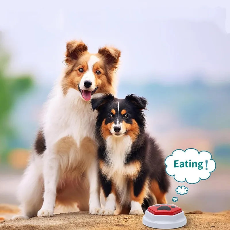 Pet Recordable Talking Sound Button