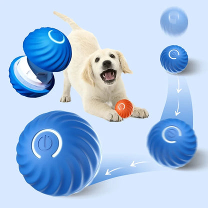 Pet Smart Jumping Rolling Ball