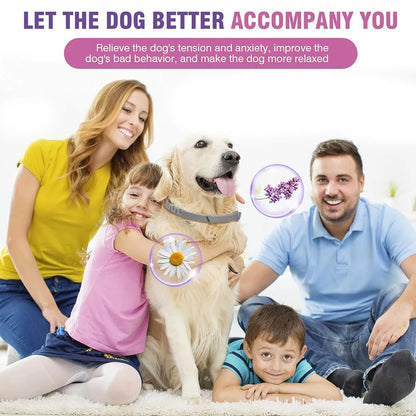 Adjustable Collar for Dogs