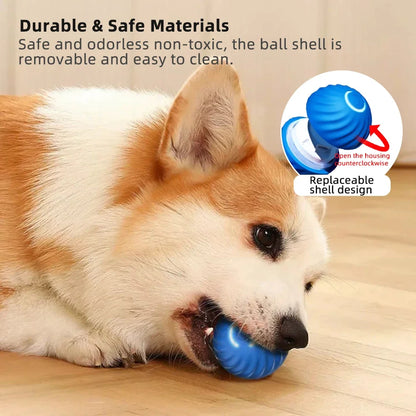 Pet Smart Jumping Rolling Ball