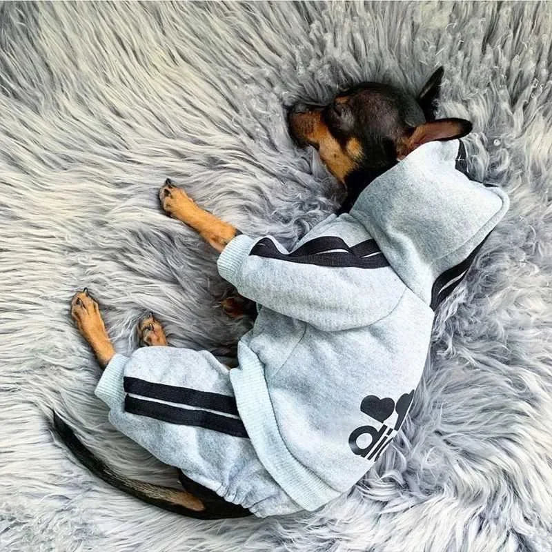 Warm Dog Jumpsuit
