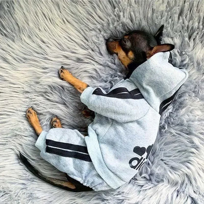 Warm Dog Jumpsuit