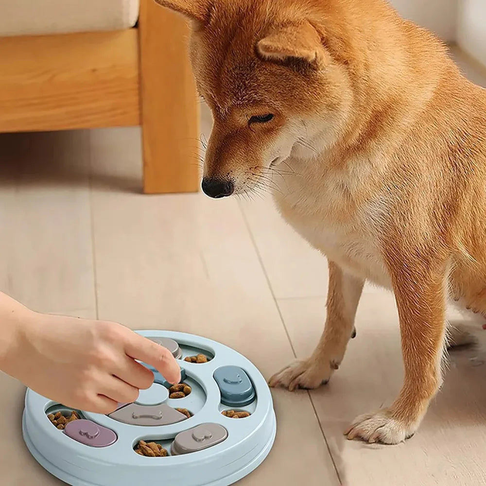 Pet Slow Feeder Bowl