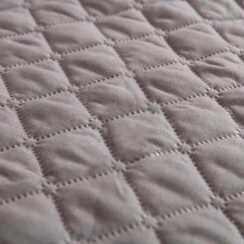 Washable Pet Mat