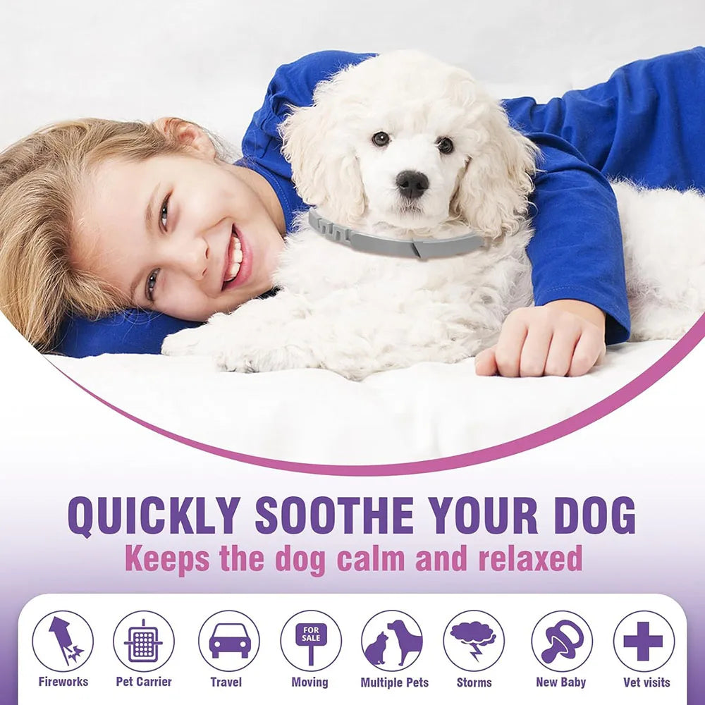 Adjustable Collar for Dogs